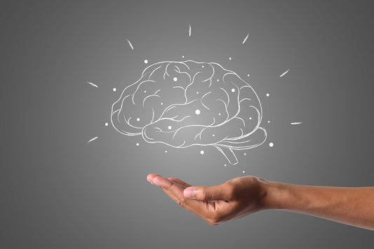 Best Brain Supplements for Memory, Focus, Mental Clarity, and Cognitive Support