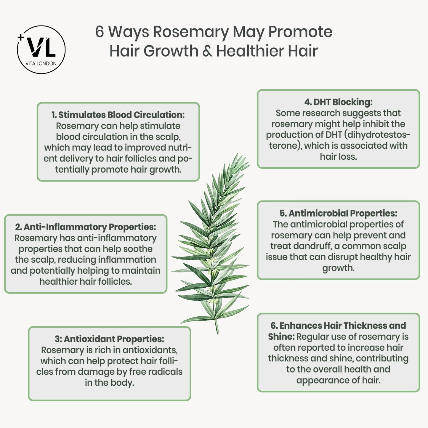Hair, Skin & Nails | High-Strength Biotin (10,000µg) | Tablets | with Zinc, Selenium & Rosemary Extract