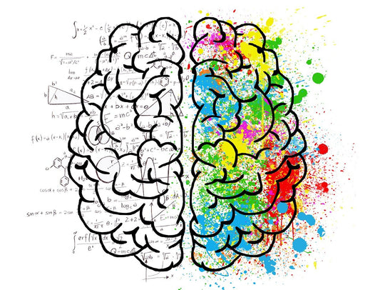 Adaptogens & Nootropics: The Natural Duo for Focus, Calm, and Cognitive Performance