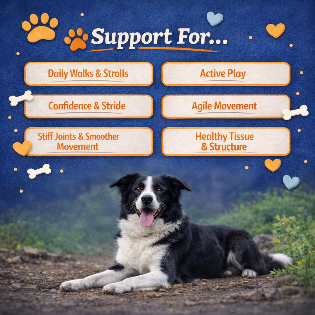 Vita London Healing Pawz Hip & Joint Care Dog Supplement quality and packaging image