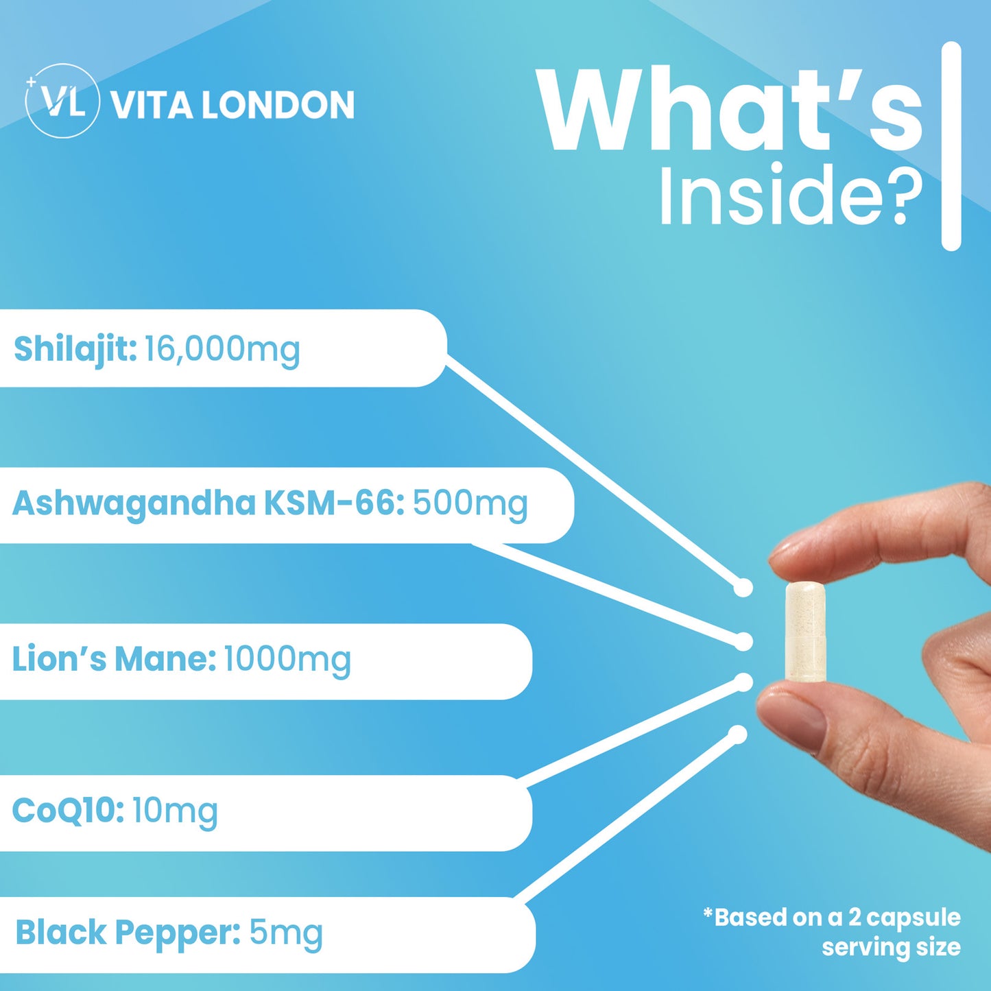 Shilajit Complex Capsules | 16,000mg Per Serving | Fuel Your Mind & Body